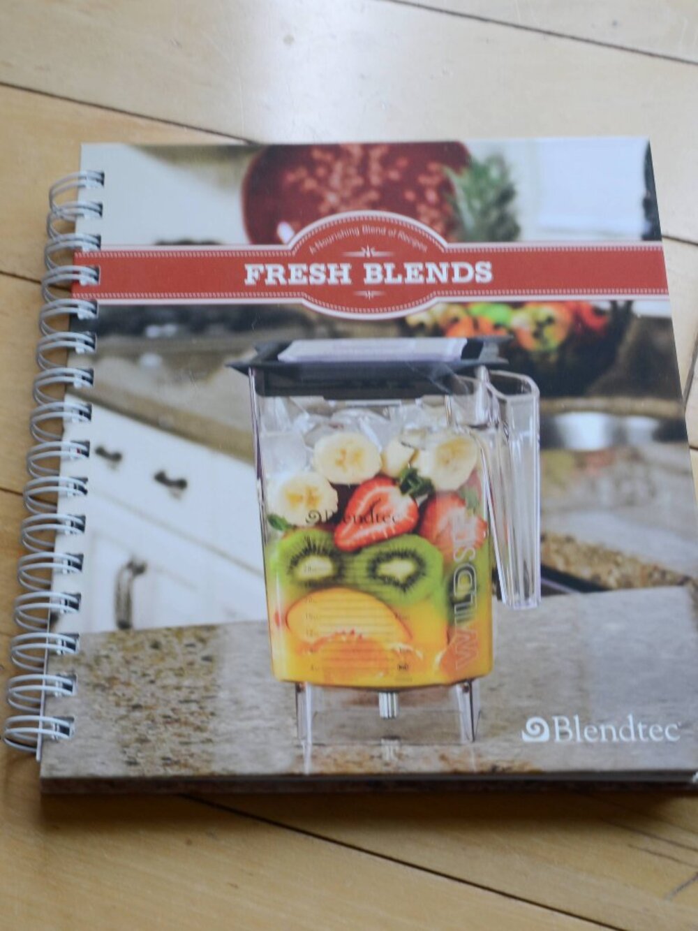 Blendtec Fresh Blends Recipe Book Smoothies Dips Dressing Soup Baby Food Dessert
